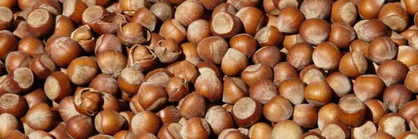 Хранение орехов