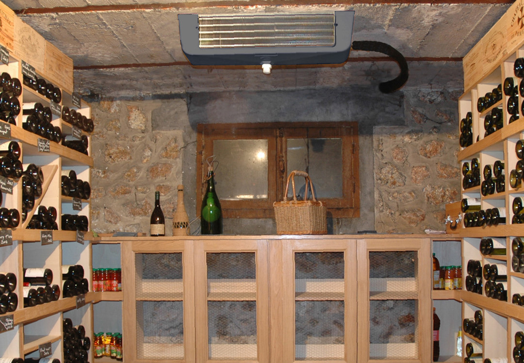 Винный кондиционер SPC 48 EVPL Vintage