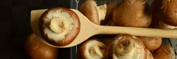 Хранение грибов