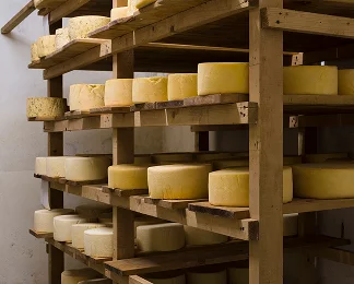 Для хранения сыра