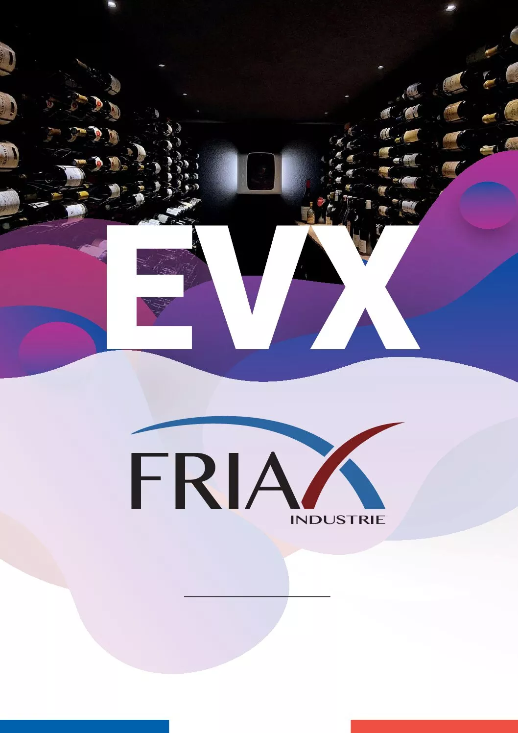 Винный кондиционер SPC 48 WEVX2 Vintage groupe GCW