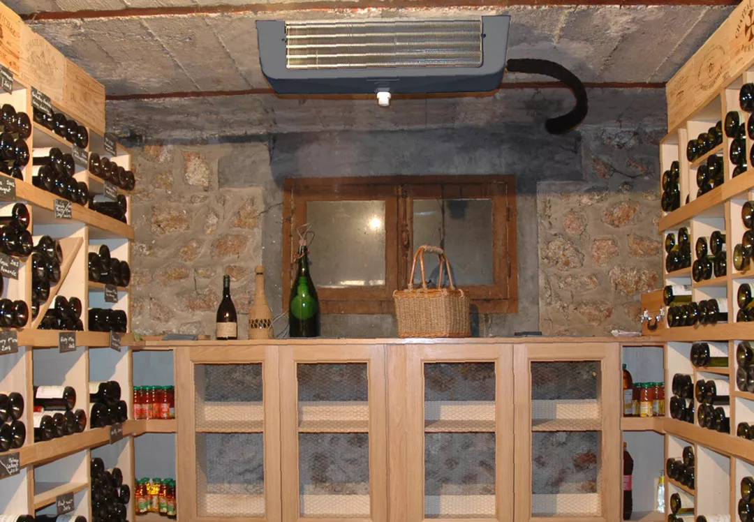 Винный кондиционер SPC 170 EVPL Vintage